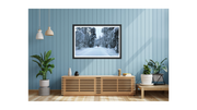 Into The Snow. Limited Edition of 50 Prints