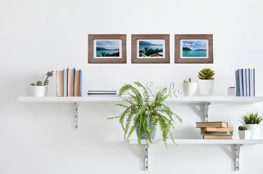 Lac du Bourget terrace view print II