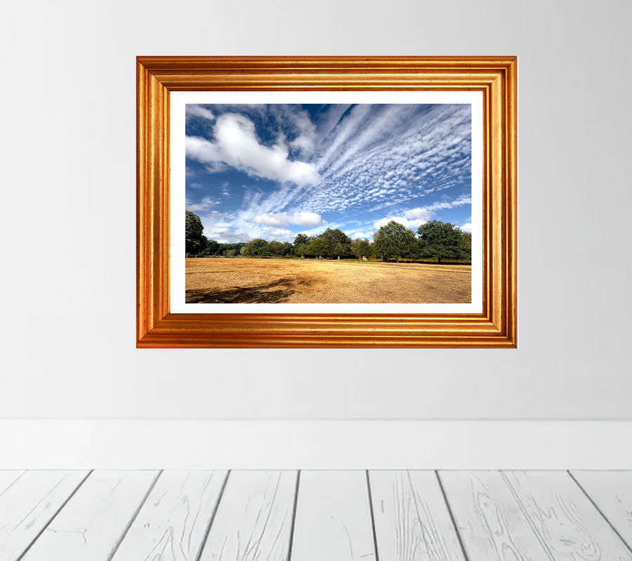 Summer Trails. Limited Edition of 50 Prints