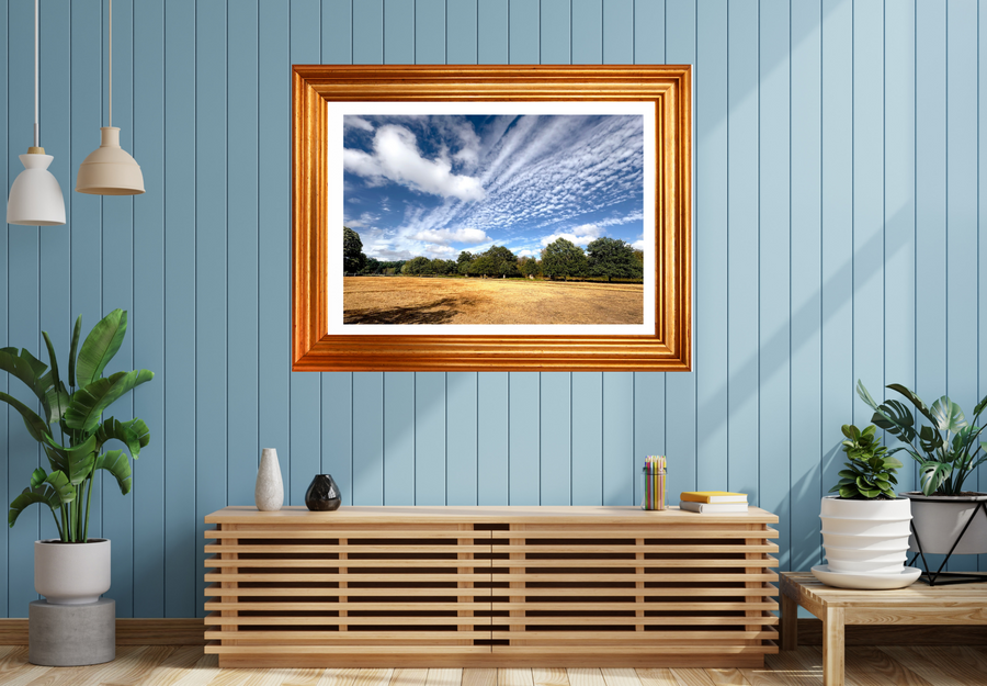 Summer Trails. Limited Edition of 50 Prints