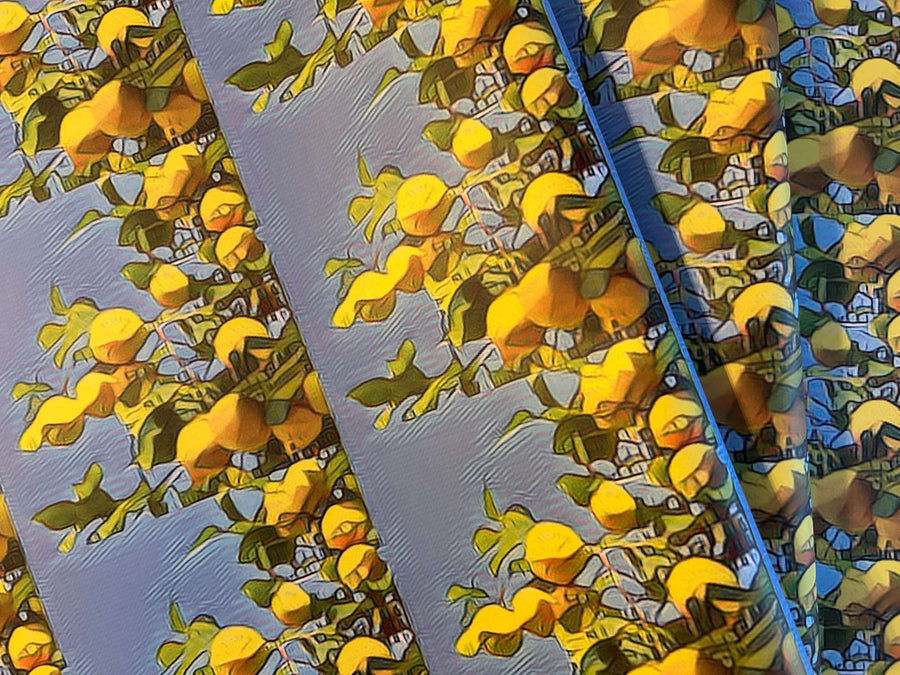 Amalfi lemons wrapping paper. Italian mediterranean summer design 120gsm, 500mm x 700mm