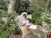 727 Sailbags zippered pouch made from upcycled sails