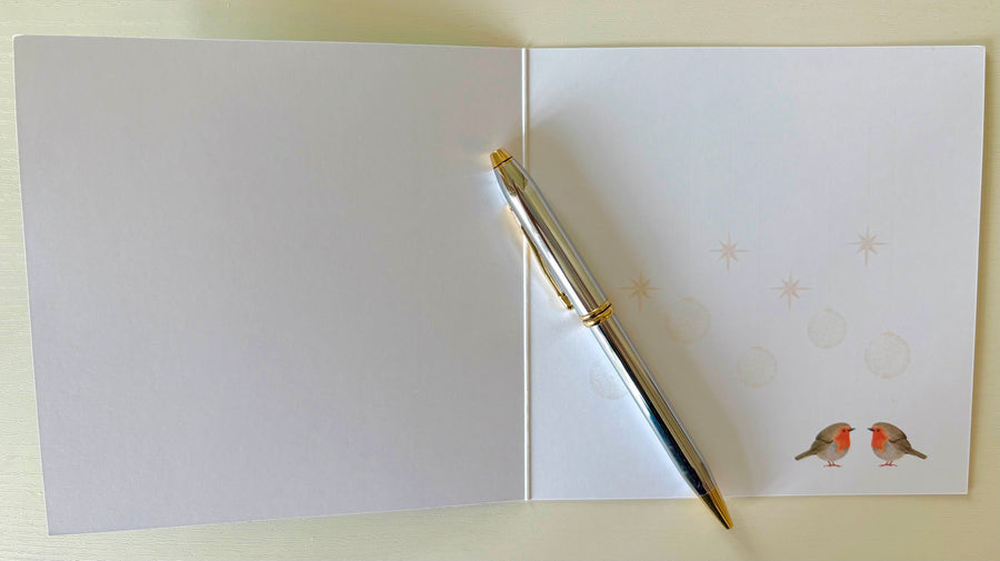 Retro Christmas card with robins. Eco-friendly with hand embossed envelope