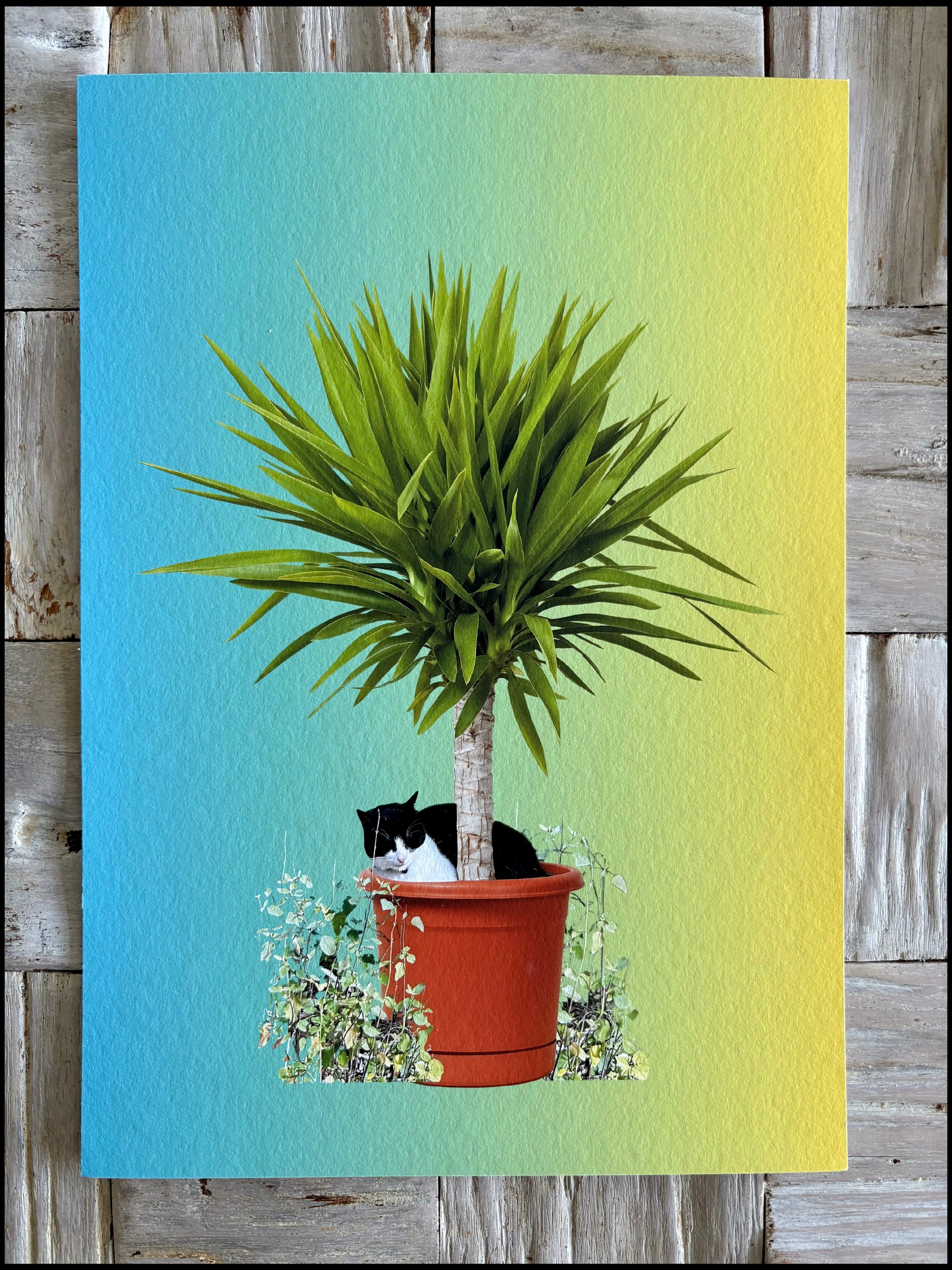 Black & white cat in a plant pot with green to blue gradient background wall decor