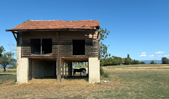 Barn Secrets. Limited Edition of 50 Prints