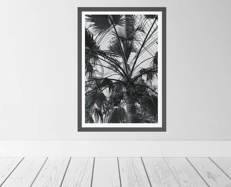 A framed black and white botanical art print of palm leaves, displayed on a light gray wall above white wooden floorboards.